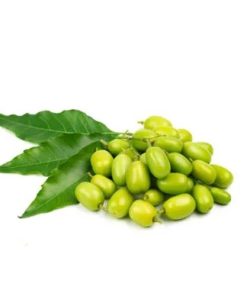 NEEM OIL